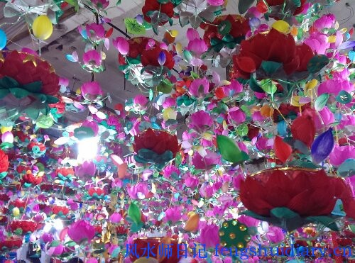 IMAG1178.jpg image