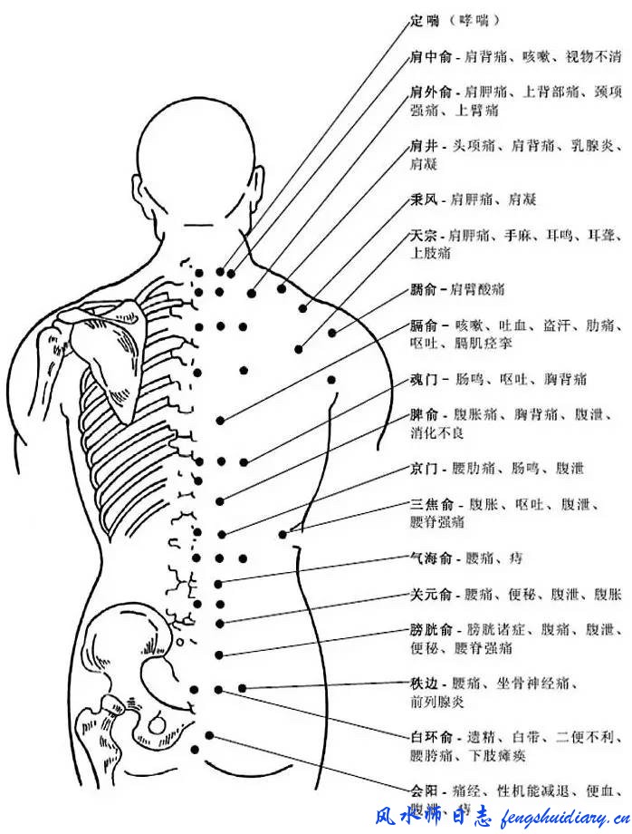 人体背部穴位图及作用功效人迎穴的作用:治疗咽喉肿痛,高血压缺盆穴
