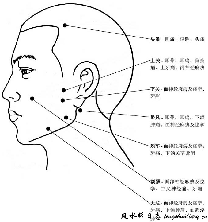 眼跳,头痛上关穴的作用:治疗耳聋,耳鸣,偏头痛,上牙痛,面神经麻木下关